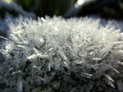 Jual Poster Close Up Frost Macro Winter Earth Ice APC