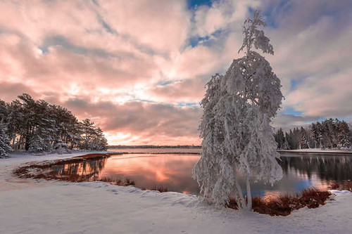 Jual Poster Cloud Earth Lake Snow Sunset Tree Winter Earth Winter APC