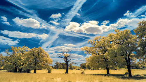 Jual Poster Cloud Landscape Nature Sky Tree Earth Landscape APC