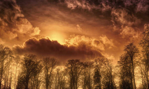 Jual Poster Cloud Sky Sunset Tree Earth Sunset APC