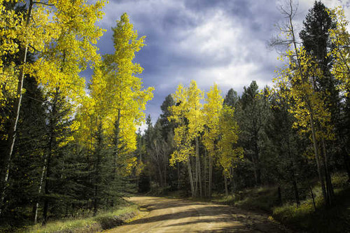 Jual Poster Colorado Dirt Road Fall Earth Fall APC