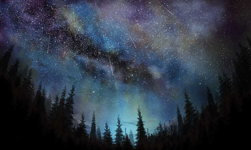 Jual Poster Comet Forest Night Scenery Stars Tree Earth Night APC
