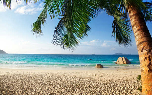 Jual Poster Earth Beach APC 212 Jual Poster Earth Beach APC 212