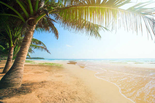 Jual Poster Earth Beach APC 321 Jual Poster Earth Beach APC 321