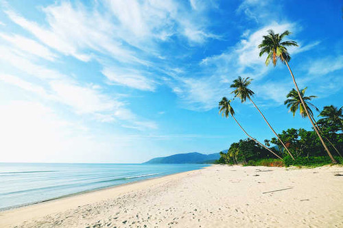 Jual Poster Earth Beach APC 330 Jual Poster Earth Beach APC 330