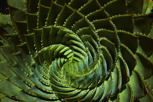 Jual Poster Earth Close Up 75265 APC