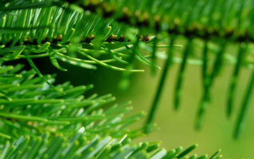 Jual Poster Earth Close Up APC 005