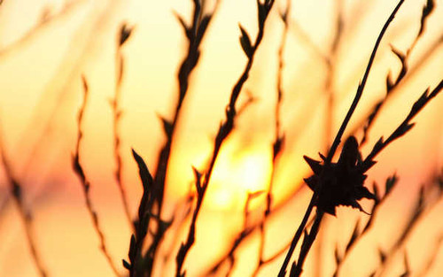 Jual Poster Earth Close Up APC 006