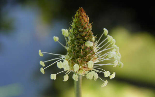 Jual Poster Earth Close Up APC 014