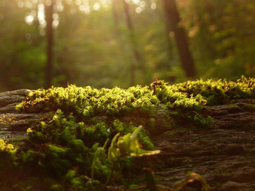 Jual Poster Earth Close Up APC 030