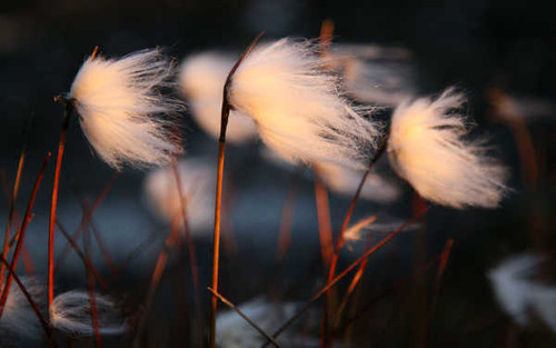 Jual Poster Earth Close Up APC 066