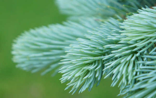 Jual Poster Earth Close Up APC 068