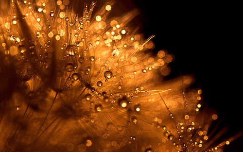 Jual Poster Earth Close Up APC 070