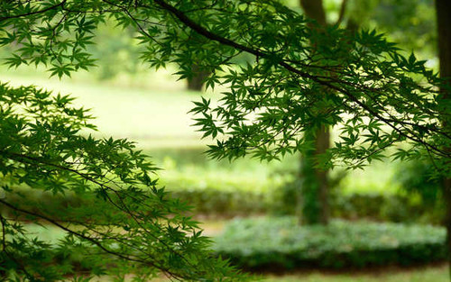 Jual Poster Earth Close Up APC 072