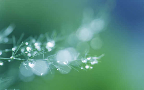 Jual Poster Earth Close Up APC 086