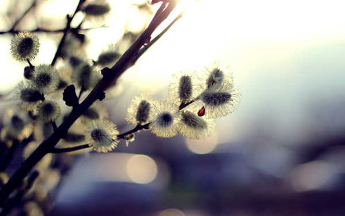 Jual Poster Earth Close Up APC 090