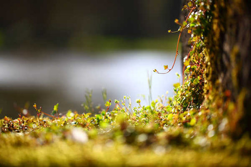 Jual Poster Earth Close Up APC 124