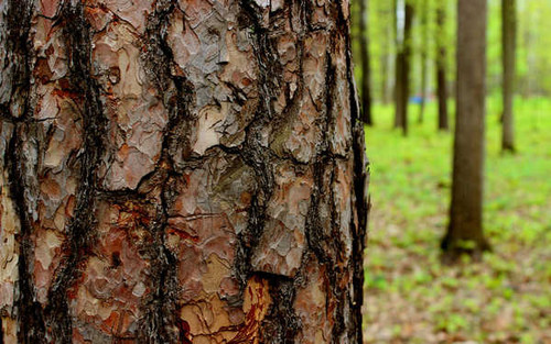 Jual Poster Earth Close Up APC 128