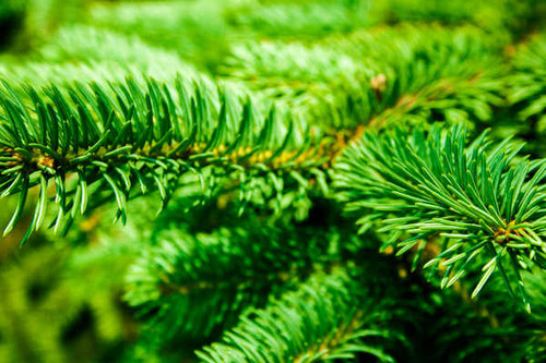 Jual Poster Earth Close Up APC 138