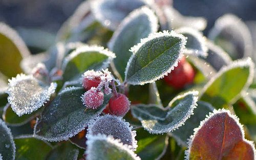 Jual Poster Earth Close Up APC 162