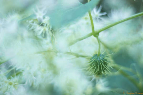 Jual Poster Earth Close Up APC 185