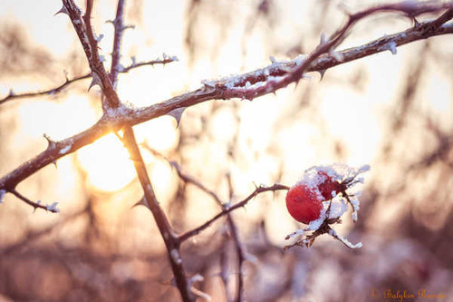 Jual Poster Earth Close Up APC 192