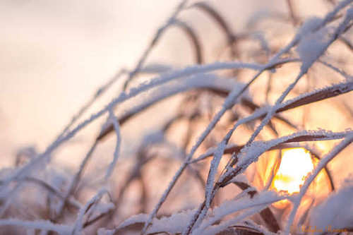 Jual Poster Earth Close Up APC 193