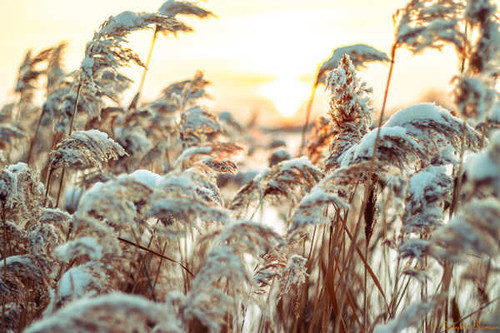 Jual Poster Earth Close Up APC 204