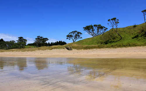 Jual Poster Earth Coastline APC 045