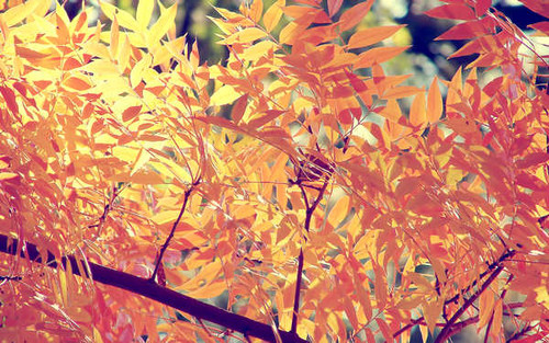 Jual Poster Earth Fall APC 064