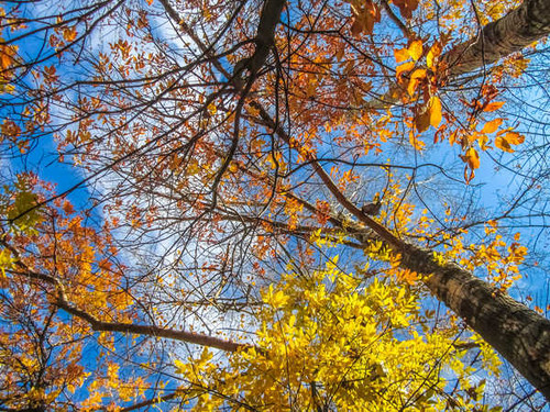 Jual Poster Earth Fall APC 128