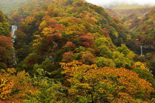 Jual Poster Earth Fall Foliage Forest Tree Waterfall Waterfalls Waterfall APC 003