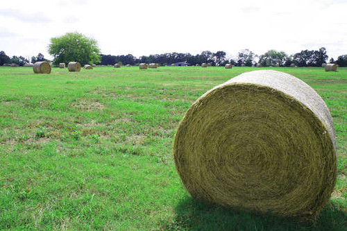 Jual Poster Earth Field 85213 APC