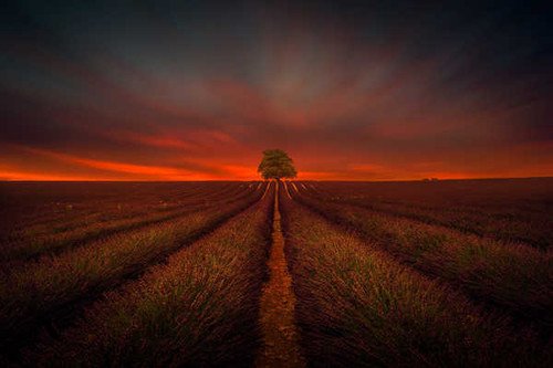 Jual Poster Earth Field APC 101