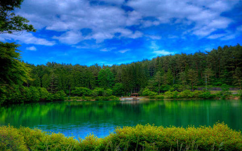 Jual Poster Earth Forest Green Lake Tree Lakes Lake APC