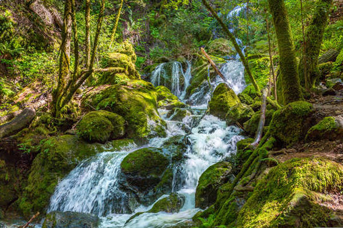 Jual Poster Earth Forest Green Moss Rock Waterfall Waterfalls Waterfall APC 001