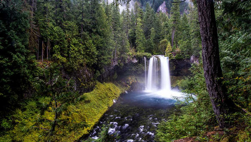 Jual Poster Earth Forest Green Rock Tree Waterfall Waterfalls Waterfall APC 002