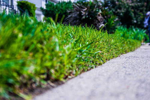 Jual Poster Earth Grass APC 070