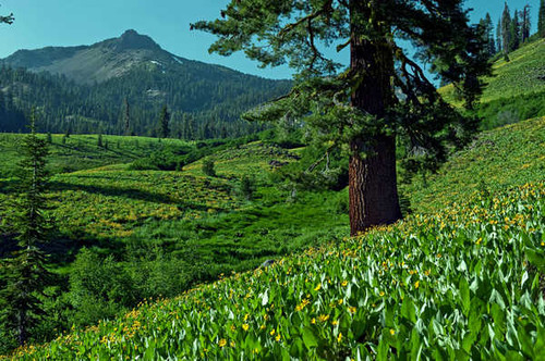 Jual Poster Earth Landscape APC 044