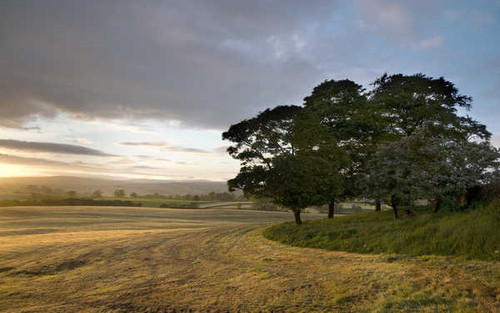 Jual Poster Earth Landscape APC 098