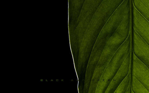 Jual Poster Earth Leaf APC 214 Jual Poster Earth Leaf APC 214
