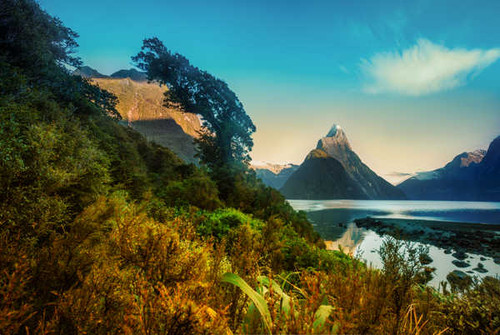 Jual Poster Earth Milford Sound APC 002 Jual Poster Earth Milford Sound APC 002
