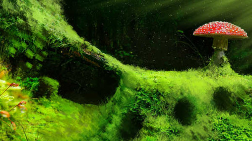 Jual Poster Earth Mushroom3 APC
