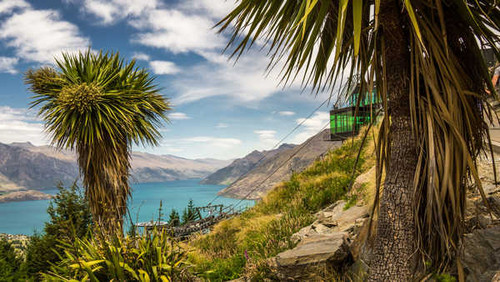 Jual Poster Earth New Zealand Palm Tree River Earth River APC