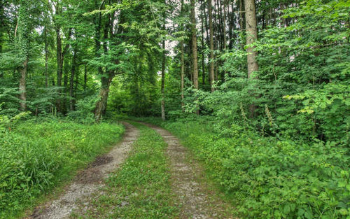 Jual Poster Earth Path APC 029