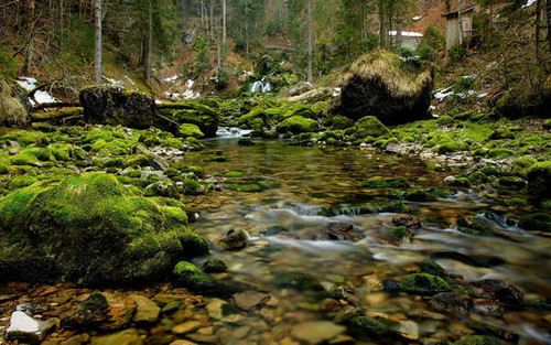 Jual Poster Earth Stream APC 053