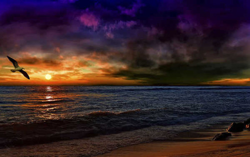 Jual Poster Earth Sunset APC 429 Jual Poster Earth Sunset APC 429