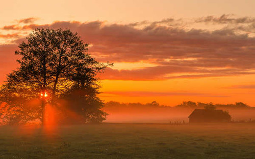 Jual Poster Earth Sunset APC 523