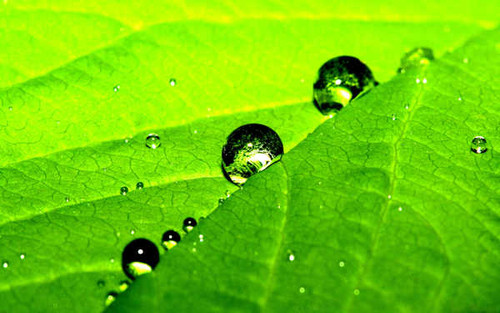 Jual Poster Earth Water Drop APC 037