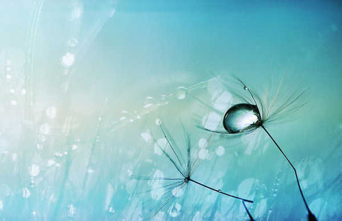 Jual Poster Earth Water Drop APC 046